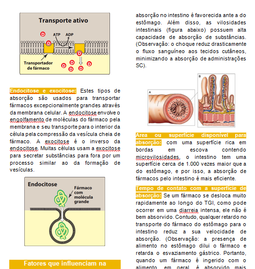 FARMACOCINETICA2